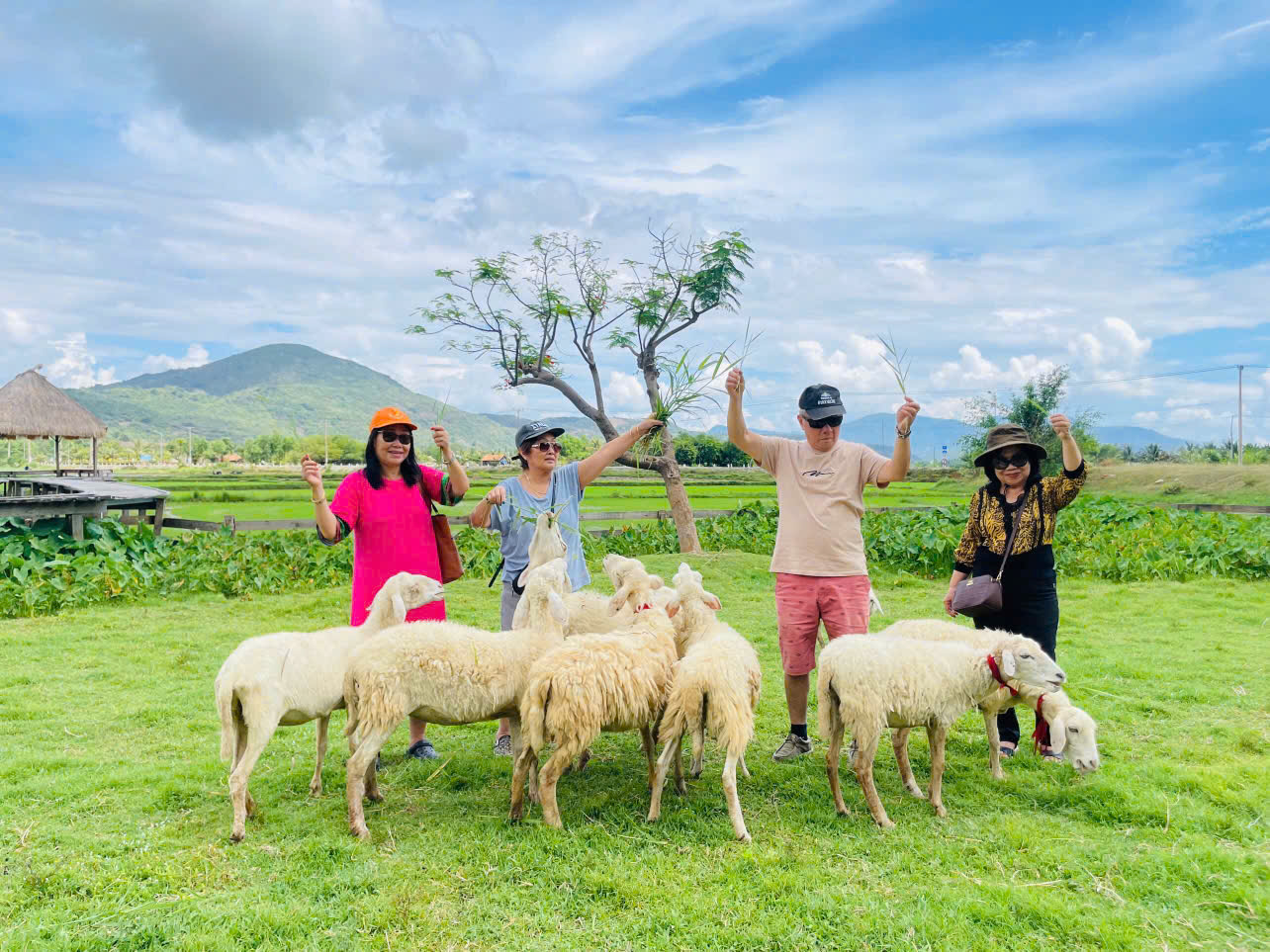 Tour Ninh Thuận